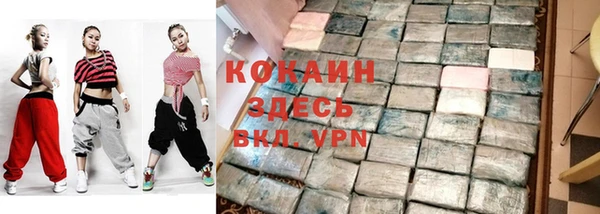 дмт Арсеньев