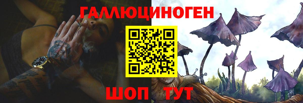 Псилоцибиновые грибы прущие грибы Зима