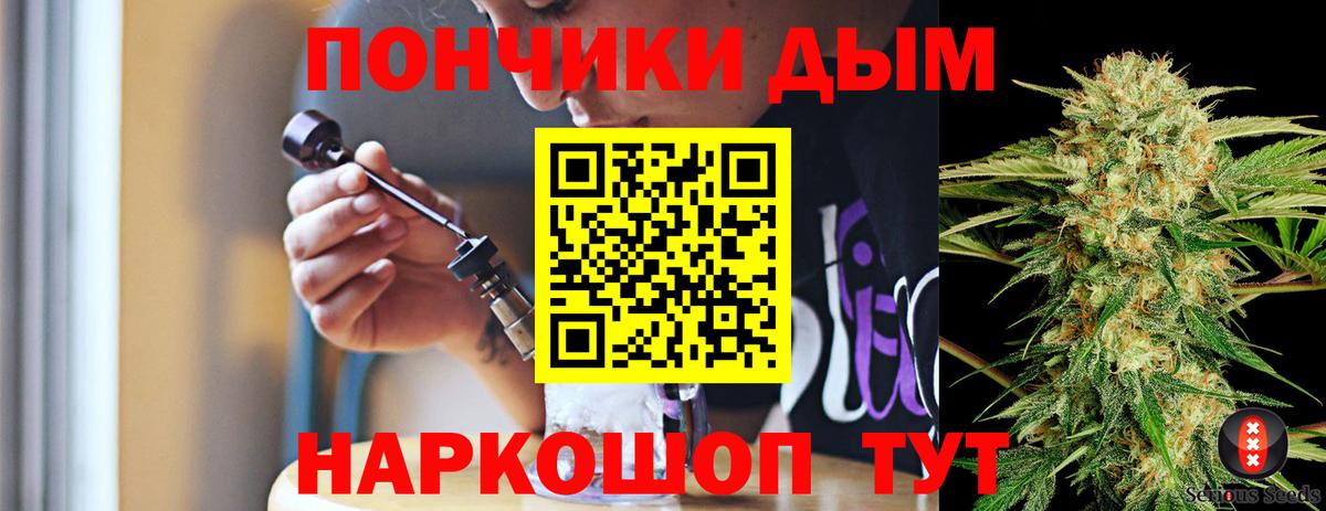 Конопля план Зима